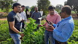 PepsiCo Launches Crop Intelligence Platform to Enhance Potato Yields and Empower Farmers