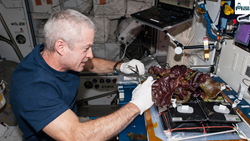 Growing Salad in Space - The Promise of Lettuce Farming Beyond Earth