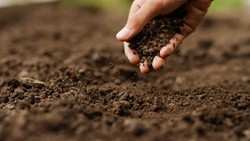 The Vital Role of Soil Testing in Agriculture