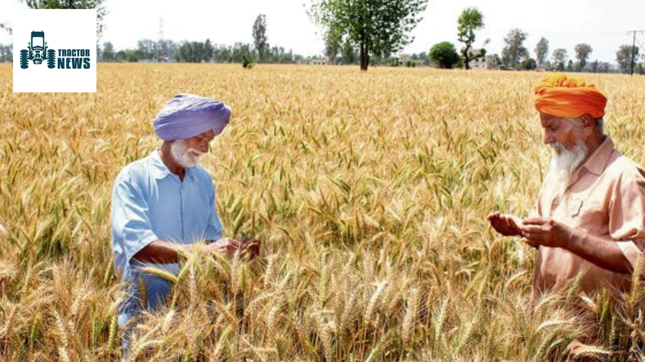 A Programme to Support Income Independent of Crop Production Could Boost Agriculture in a Long-Term Way