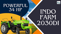 Indo Farm 2030 DI: Powerful 34 HP With 3 Cylinders, Best for Cotton Fields