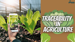 Agricultural Traceability Revolution - Ensuring Quality, Safety, and Sustainability from Farm to Table