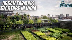 India's Top Urban Farming Startup Partners
