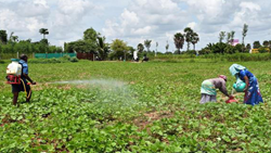 Agriculture Census Scheme- Objectives, Features, And Implementation 