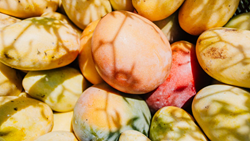 Exquisite and Expensive Mango Varieties from Around the World: Know The Price